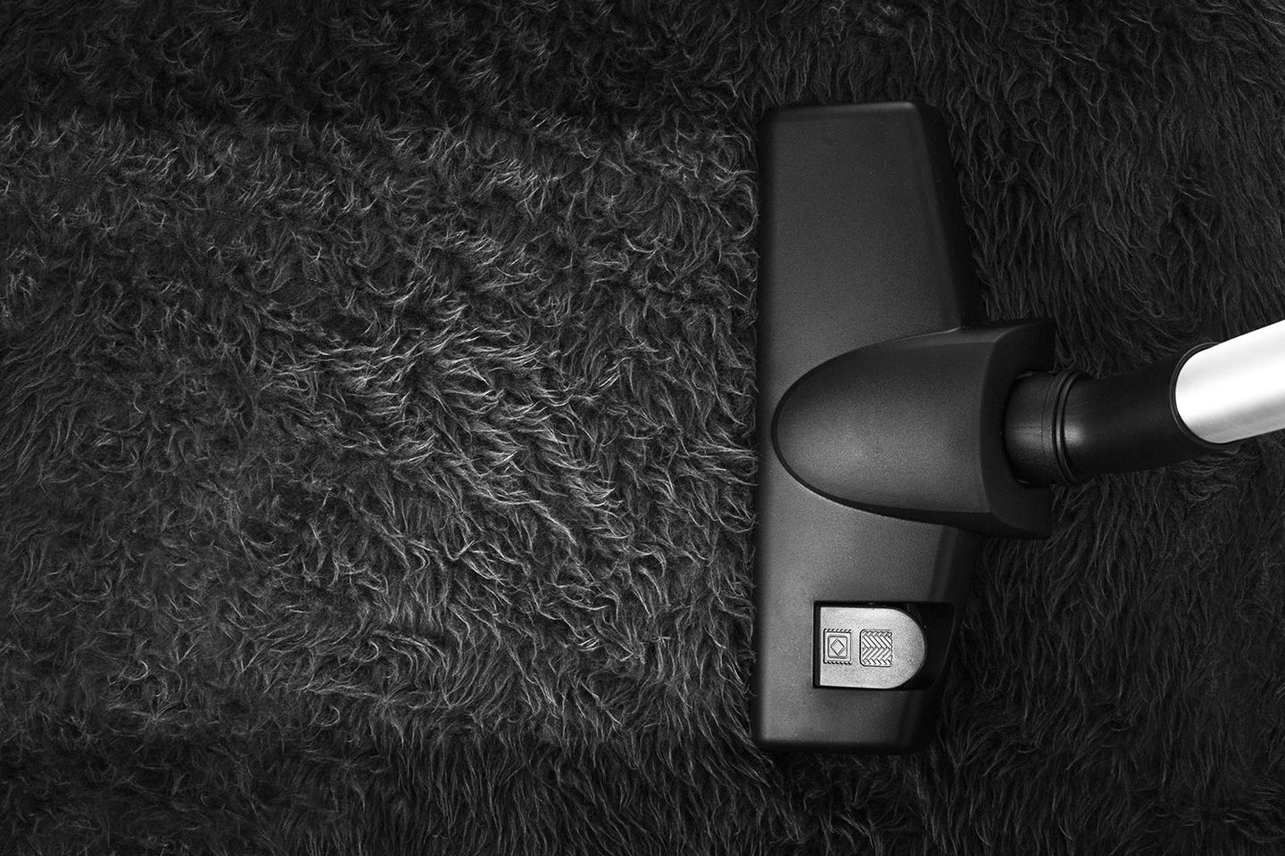 Ein Teppich wird gereinigt